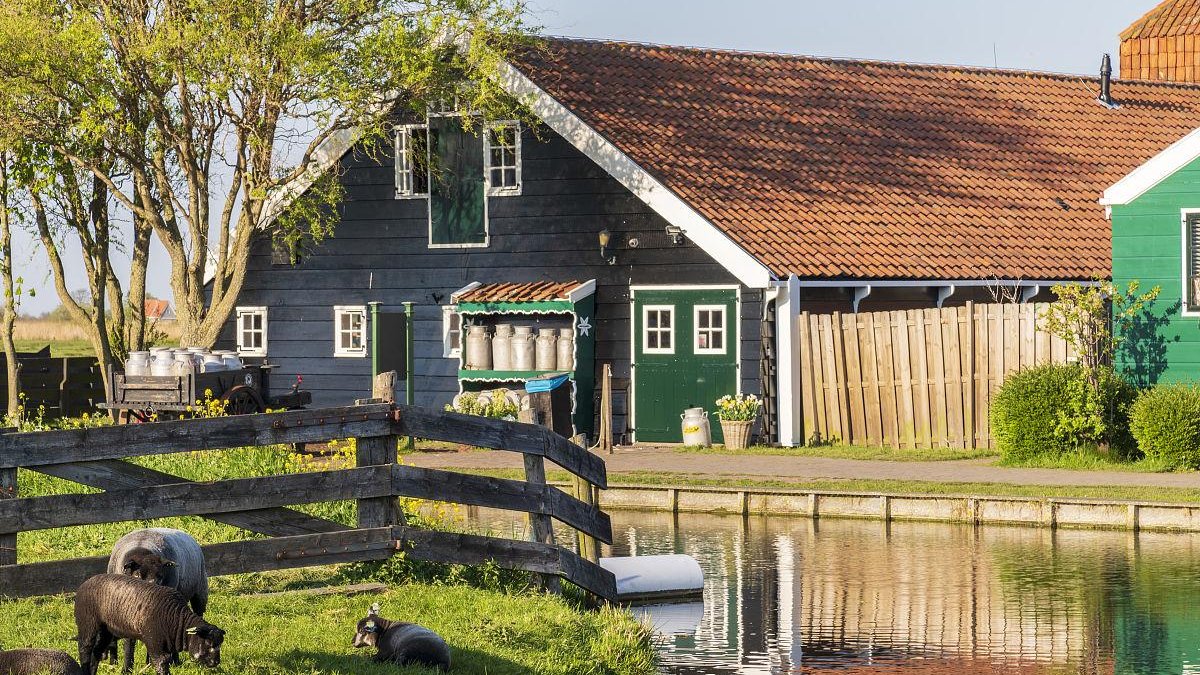 rural village in Drenthe region, Netherlands, traditional farmhouses, open fields, local cultural festival, wooden windmills