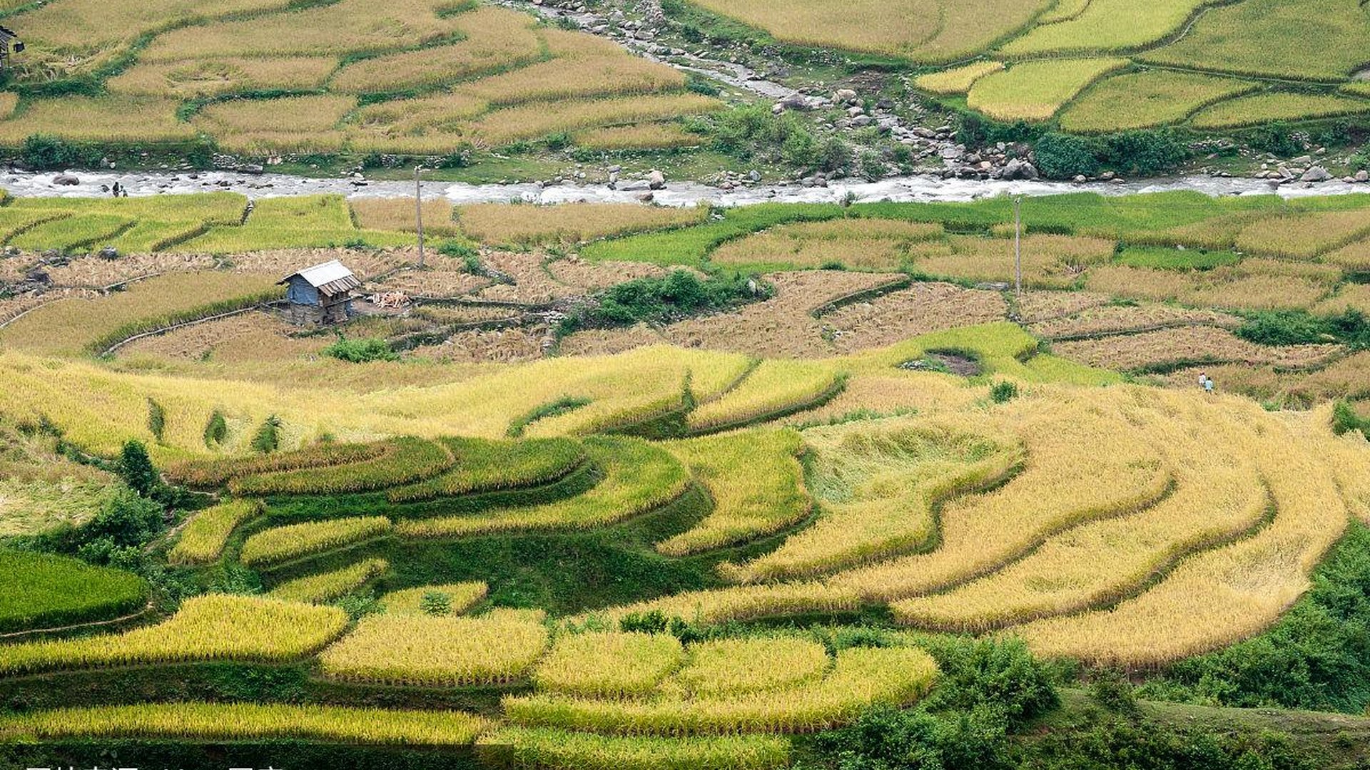 Guangxi rice terraces mountain village traditional